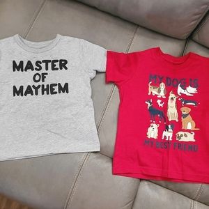 Toddler Shirt Bundle